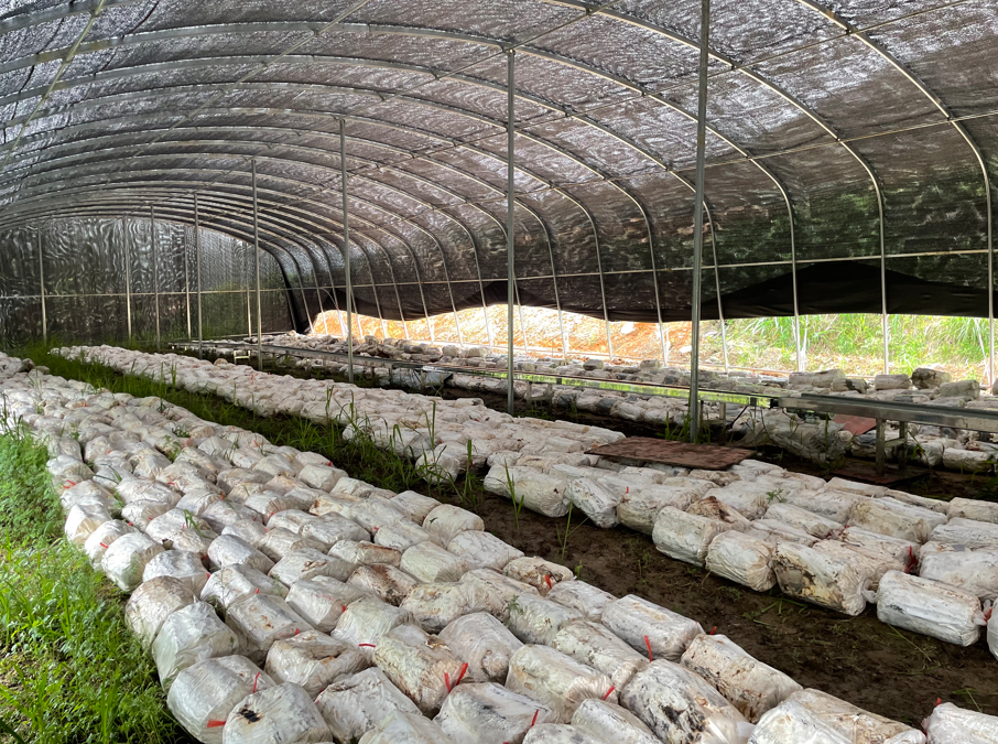 1718588358502137.png image.png