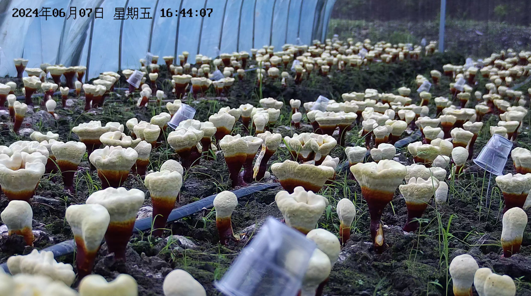 1718588579348978.png image.png