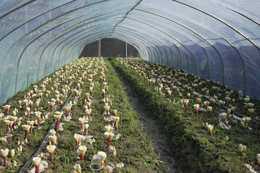 1718588717521057.png image.png