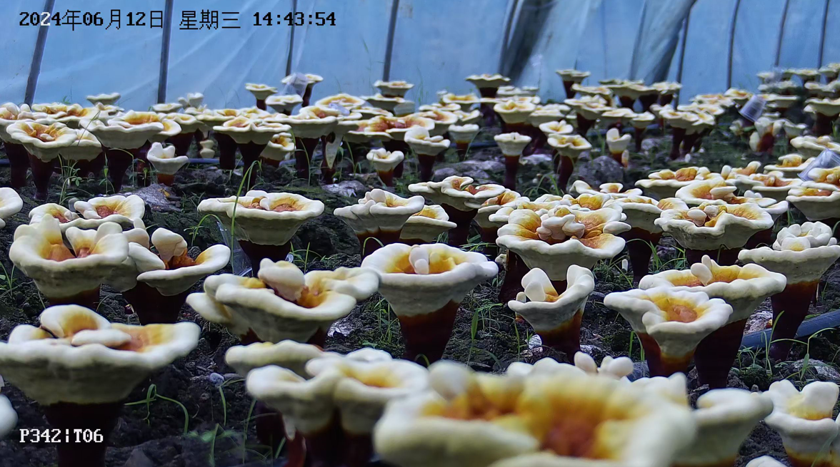 1718588806172126.png image.png