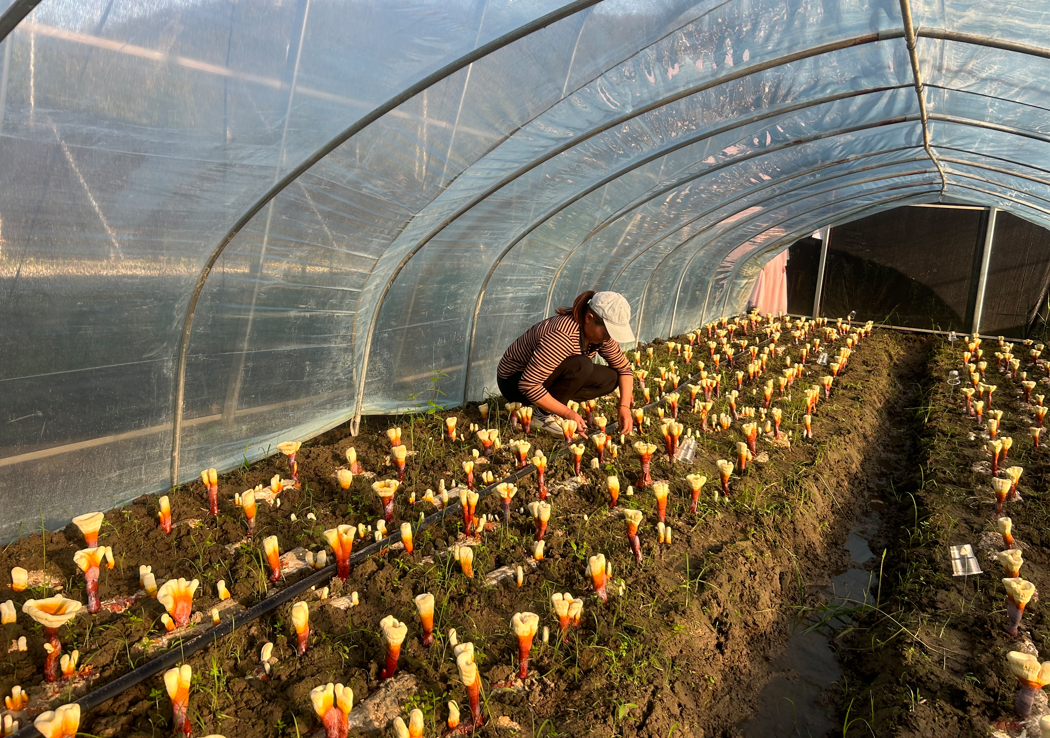 1718589145996008.png image.png