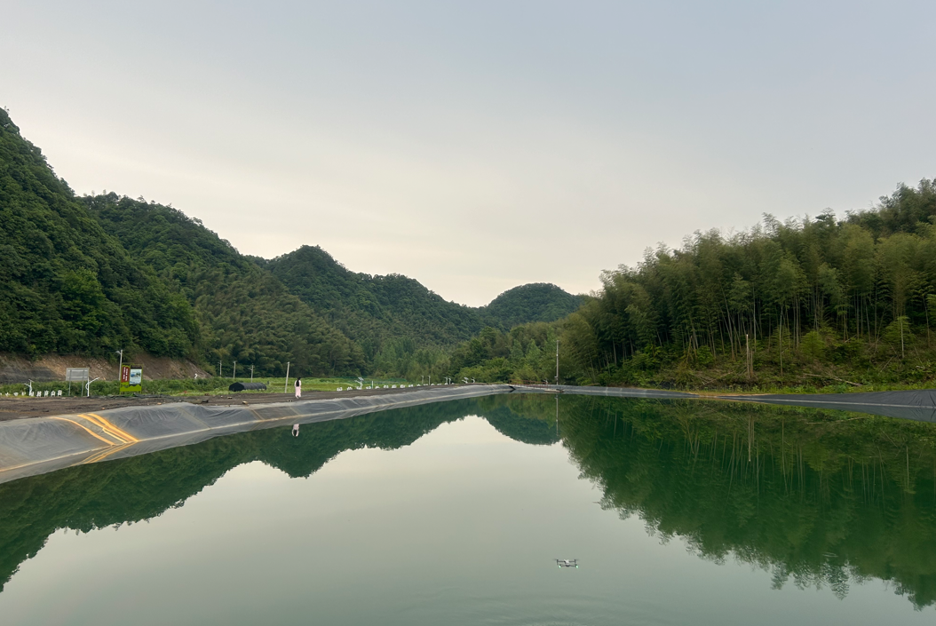 1718589790636581.png image.png